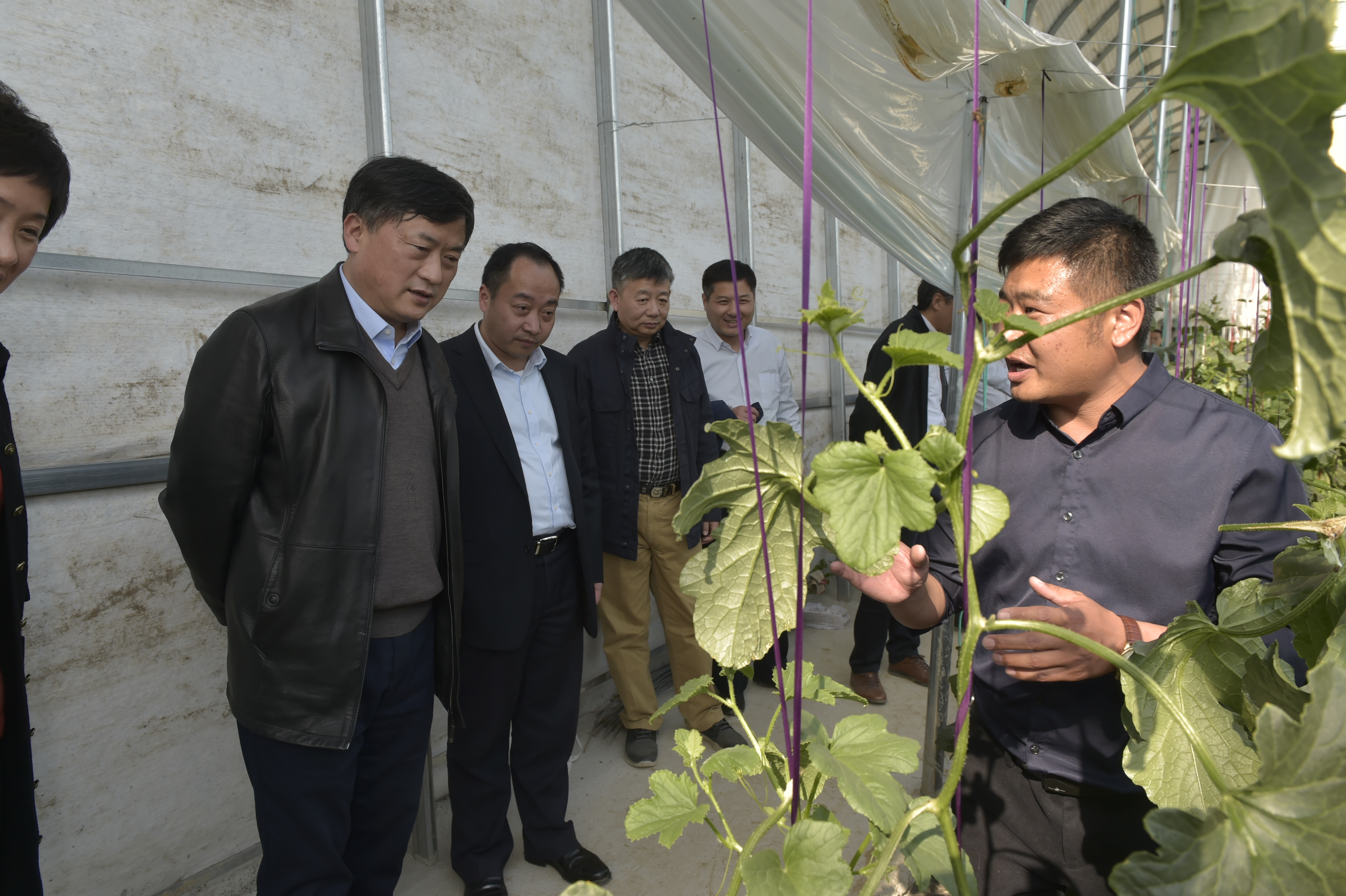 鎮砂壩村,校領導一行詳細瞭解了由我校援建的靈璧縣幼兒園砂壩分園的